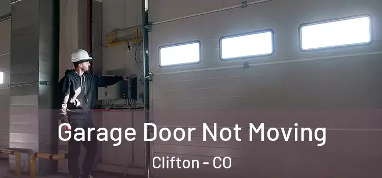  Garage Door Not Moving Clifton - CO