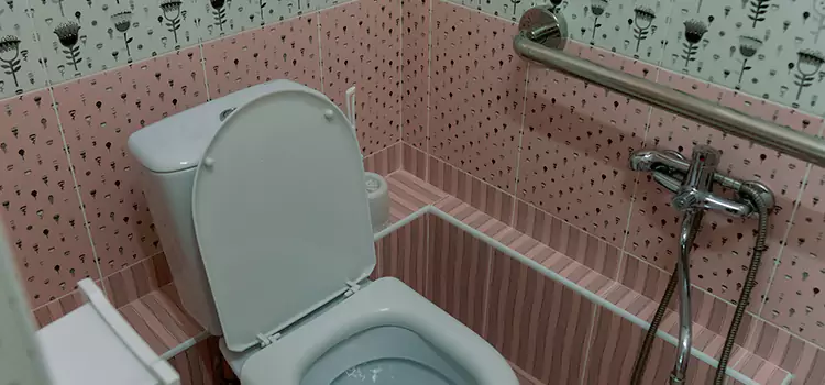 Meeting Diverse Needs With Accessible Restroom Solutions in Clifton, CO